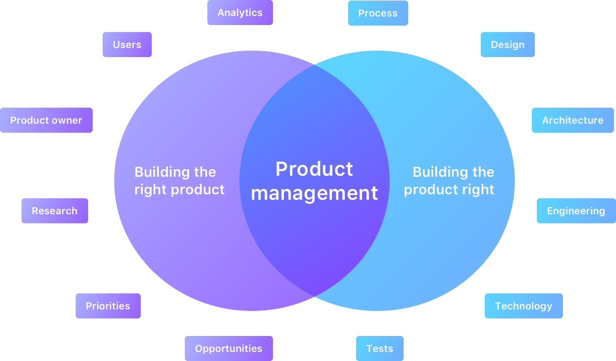 Second mover advantage